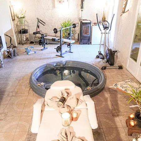 La Maison Du Bonheur 20 Personnes Avec Jacuzzi Anneyron