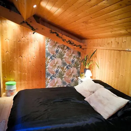 La Maison Du Bonheur 20 Personnes Avec Jacuzzi * Anneyron