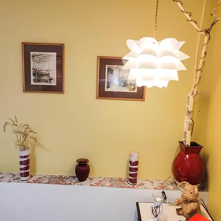 La Maison Du Bonheur 20 Personnes Avec Jacuzzi *